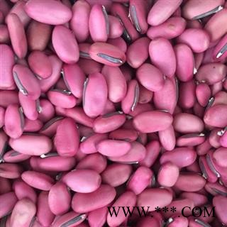 圣草康园刀豆 红刀豆 另有白刀豆 黑刀豆新货颜色好量大从优图2