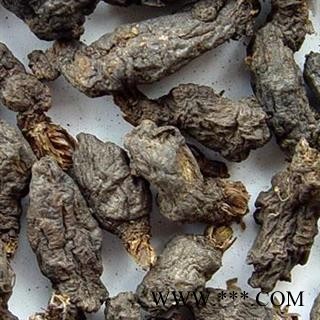 圣草康园天葵子  紫背天葵子 千年老鼠屎图3