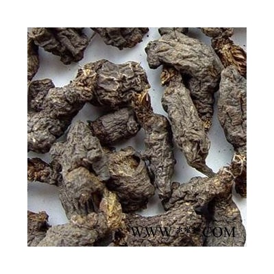 圣草康园天葵子  紫背天葵子 千年老鼠屎