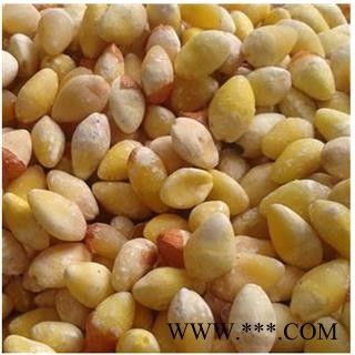 白果  白果仁   产地 江苏省图2