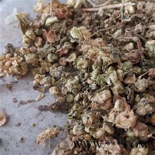 圣草康园冬葵子壳 葵菜皮 冬葵果壳 小蜀季子今年新货 实物拍照图2