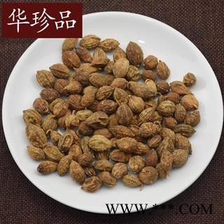 益智 02 益智仁米 统 产地 河北省图2