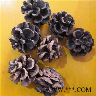 诺源药材行优质白松塔 松果 松球图2