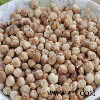 瑞森药材行白豆蔻白寇 广西 中药香料 白豆蔻 产地货源无硫 新货图2