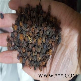 圣草康园南五味子 南五味子 一手货源 产地直供 净货  产地直销图3