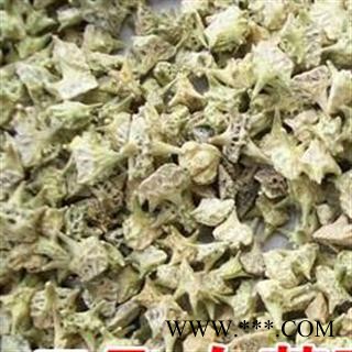 圣草康园 蒺藜白蒺藜 全绿图3