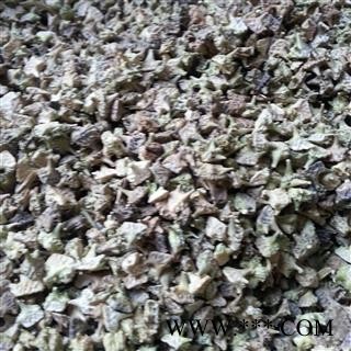 圣草康园 蒺藜白蒺藜 全绿图2