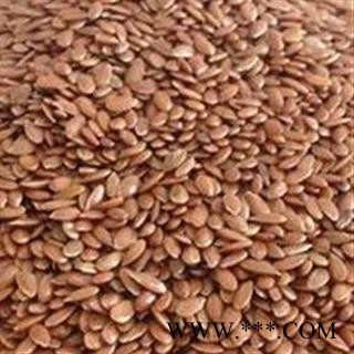 圣草康园亚麻籽内蒙古亚麻籽 亚麻子胡麻籽亚麻籽图2