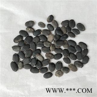 瑞森药材行中药材生丝瓜子 丝瓜籽 乌牛子图2