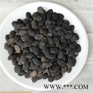 瑞森药材行中药材生丝瓜子 丝瓜籽 乌牛子图1