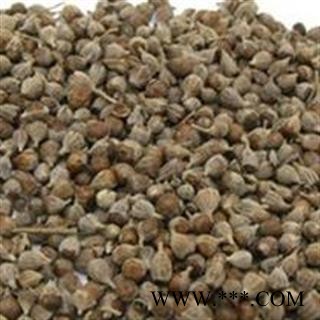 圣草康园黄荆子 黄金子 布荆子 牡荆子有带皮的有去皮图3