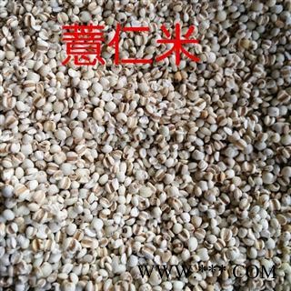 薏苡仁 贵州薏米仁 优质统装 产地 贵州省遵义市正安县图3