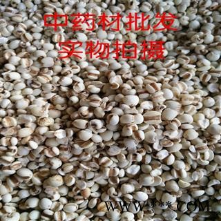 薏苡仁 贵州薏米仁 优质统装 产地 贵州省遵义市正安县图2