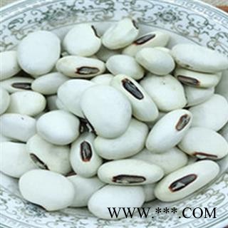 圣草康园刀豆 白刀豆 刀豆子 大戈豆 大刀豆 白凤豆白刀豆洋刀豆立刀豆图2