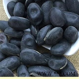 圣草康园黑刀豆 颗粒整齐 挟剑豆 野刀板藤 葛豆 刀豆角 刀板豆图2