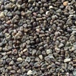 诺源药材行中药材冬葵果 冬葵子图2