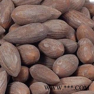 瑞森药材行榧子  香榧 赤果 玉山果 玉榧  细榧 羊角榧 榧树图2