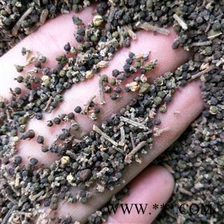 吴茱萸 大花 中花 小花 产地 湖北 江西 浙江图3