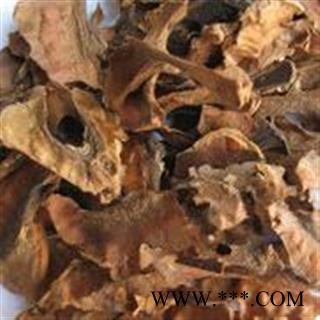 圣草康园新货分心木好货图2