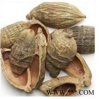 大腹皮 统 产地 海外图3