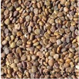 沙苑子新货水洗统货 产地 陕西省图2