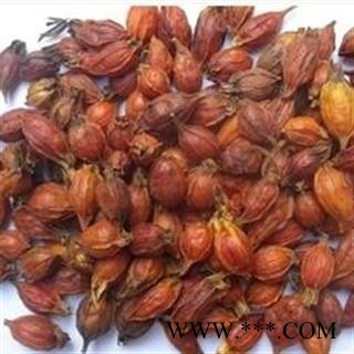 诺源药材行中药材栀子  枝子 黄栀子红栀子图2