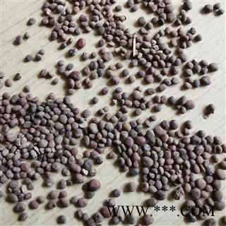 瑞森药材行无硫新货中药材 急性子 急性子粉 凤仙花种子 支持药检 常年大货图2