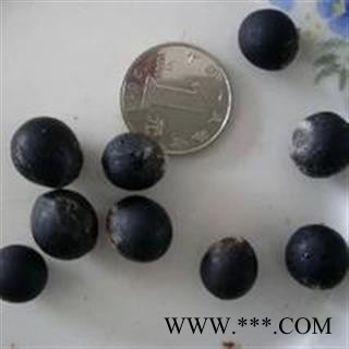 诺源药材行中药材无患子 无患子仁图2