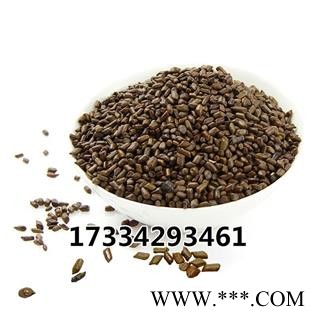 决明子 草决明子 中药材 枕头芯 干净散装图3