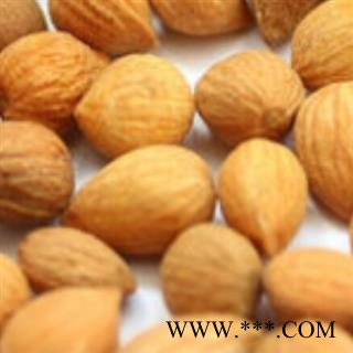 郁李仁 选装 产地 内蒙古自治区图2