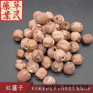 草民甄选红莲子 全抽芯莲实 饱满无硫 精品湘莲 专业批发量大从优图2