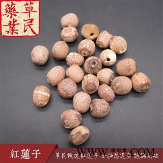 草民甄选红莲子 全抽芯莲实 饱满无硫 精品湘莲 专业批发量大从优图3
