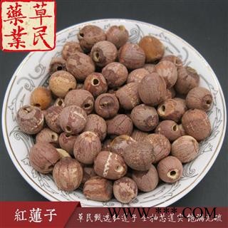 草民甄选红莲子 全抽芯莲实 饱满无硫 精品湘莲 专业批发量大从优图4