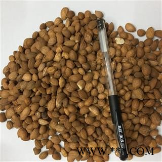 桃仁 过筛选货 2021新货 产地 内蒙古自治区通辽市开鲁县图2