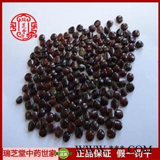 枳椇子统货 福建枳椇子 药典正品 中药材 瑞芝堂产地直供1000克 规格齐全 一站购齐图3