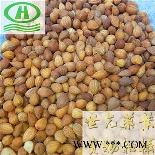 世元药业 郁李仁 正品 别称-山梅子 小李仁 郁子 郁里仁 李仁肉图2