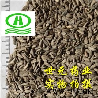 世元药业 牛蒡子 正品 大力籽 恶实 鼠粘子 黍粘子 毛然然子 黑风子 毛锥子图2