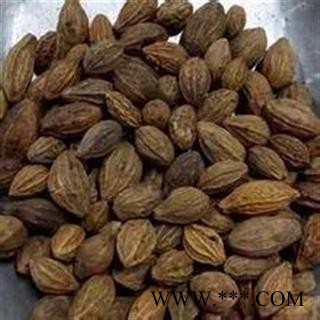 诺源药材行中药材正品中药 柯子 金柯子 大金果 随风子图3