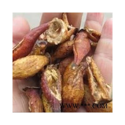 诺源药材行中药材金樱子金樱子肉 肉厚去籽