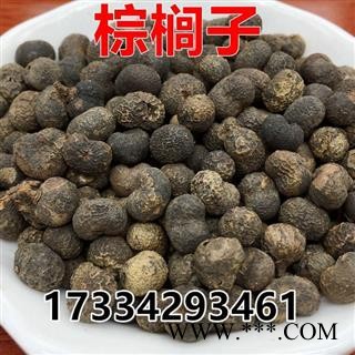 中药材 棕榈子 败棕子 棕树果棕树籽图1