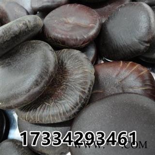 中药材 过江龙子 木腰子 九龙藤子 阴阳子 榼藤子图2