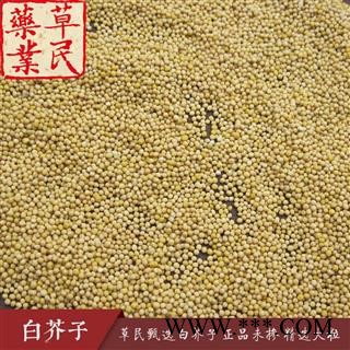 草民甄选白芥子 正品未掺 精选大粒 专业批发量大从优图2