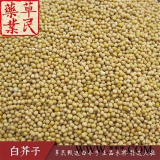 草民甄选白芥子 正品未掺 精选大粒 专业批发量大从优图3