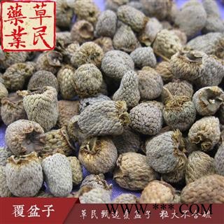 草民甄选覆盆子 精选大粒 纯浙江货 无硫无杂 品种齐全量大从优图4