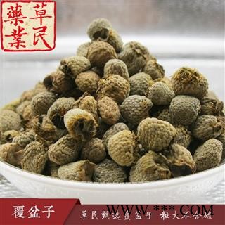 草民甄选覆盆子 精选大粒 纯浙江货 无硫无杂 品种齐全量大从优图2