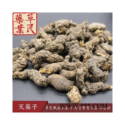 草民甄选天葵子 野生紫背天葵 千年老鼠屎 无硫干度好 专营冷备量大从优