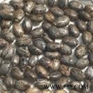 诺源药材行优质新货 蓖麻子 黑蓖麻子 红蓖麻子图2