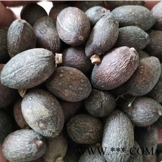 诺源药材行中药材葵树子 葵扇子葵 葵树籽 蒲葵籽图1