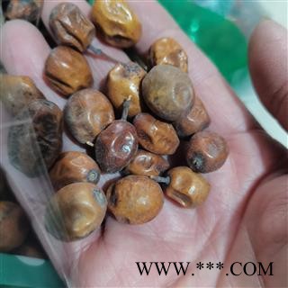 诺源药材行中药材药苦楝子(非川楝子) 苦心子 楝枣子 楝果子图2