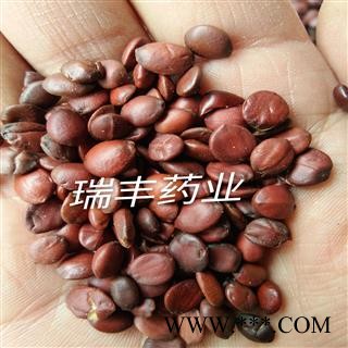 纯净国产酸枣仁 统 产地 山东省济宁市汶上县图2